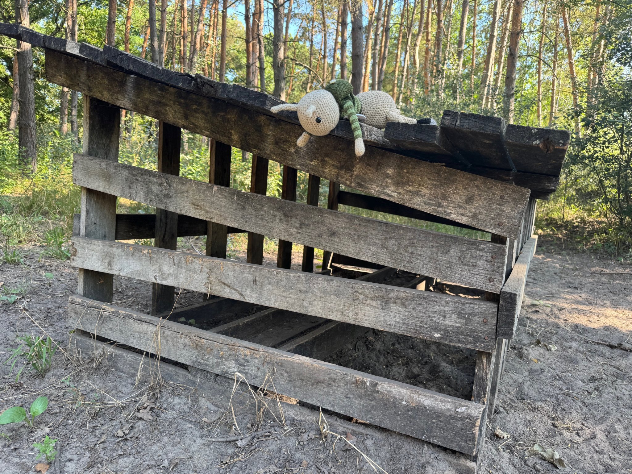 Az erdő titkai VI. rész: Mit csinál a hivatásos vadász?