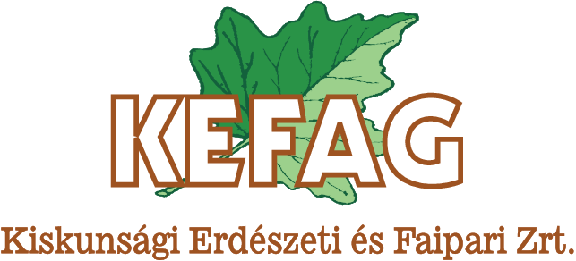 Utainkon erdők kísérnek...